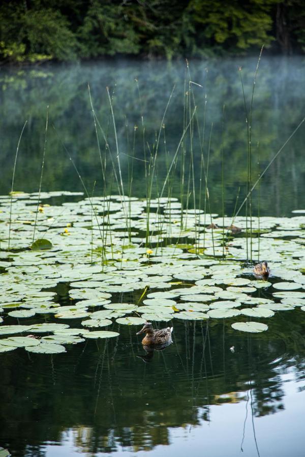 Riverland Gornji Zvečaj Esterno foto